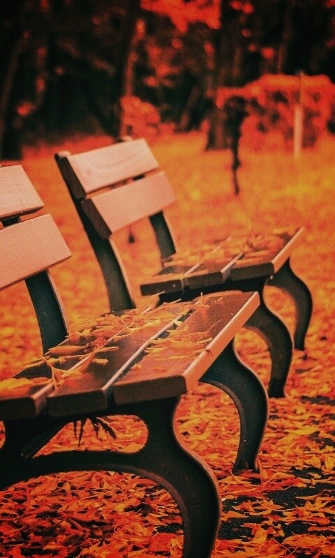 Лавочки в осеннем парке обои