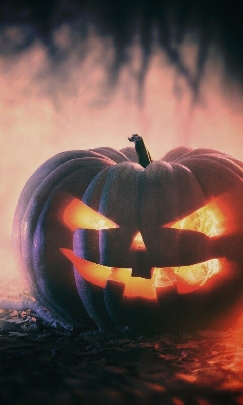 Хэллоуинская тыква обои