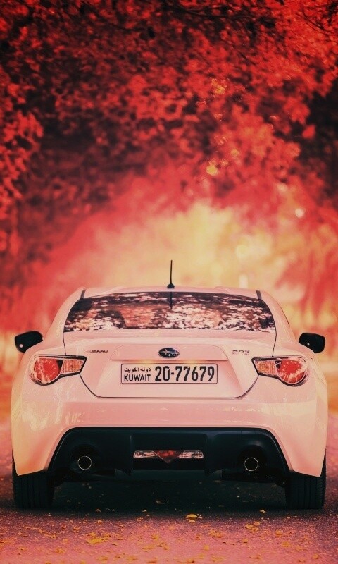 Субару на осенней дороге обои