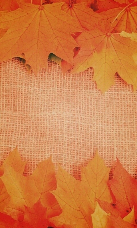 Желтые кленовые листья на холсте обои