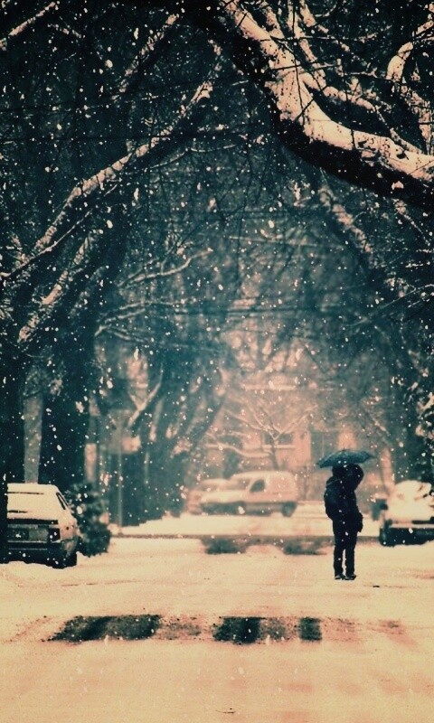 Зимняя улица обои