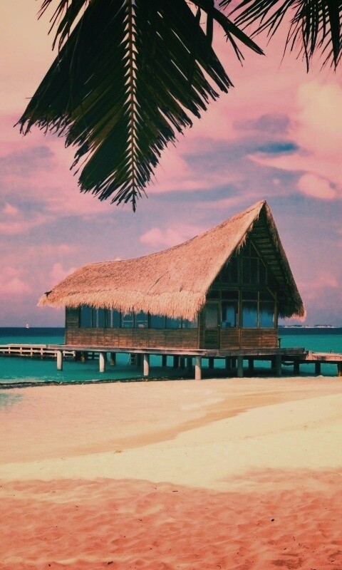 Бунгало обои