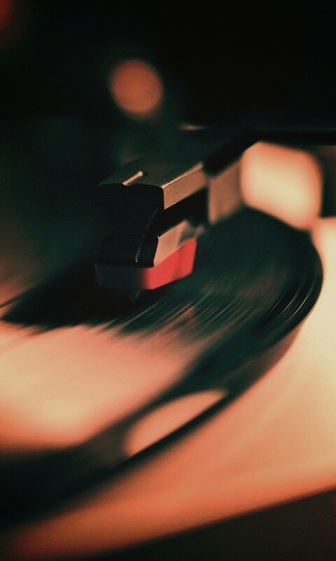 Пластинка обои