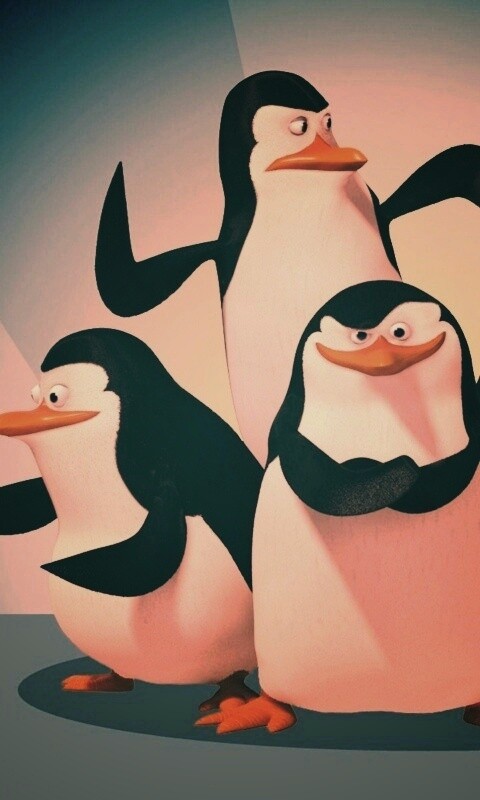 Мадагаскарские пингвины обои