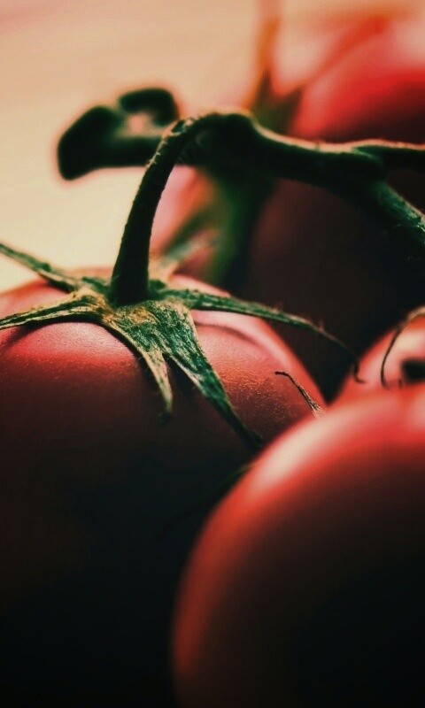 Аппетитные помидоры обои