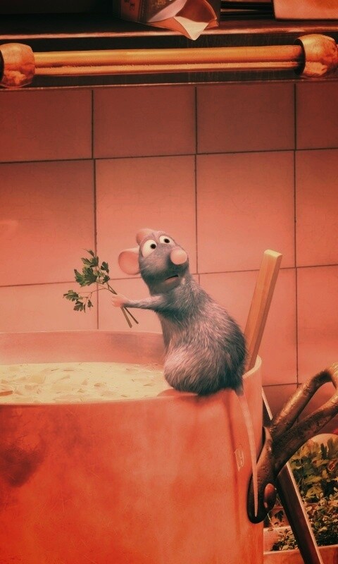 Рататуй варит суп обои