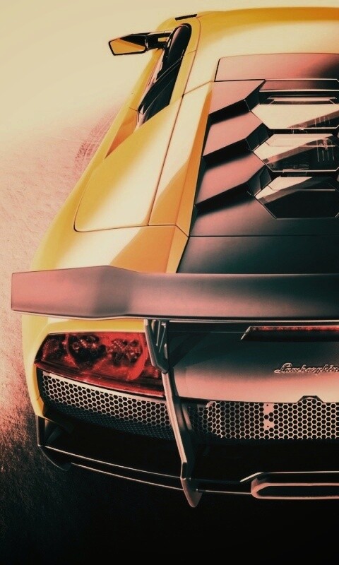 Lamborghini Murcielago обои