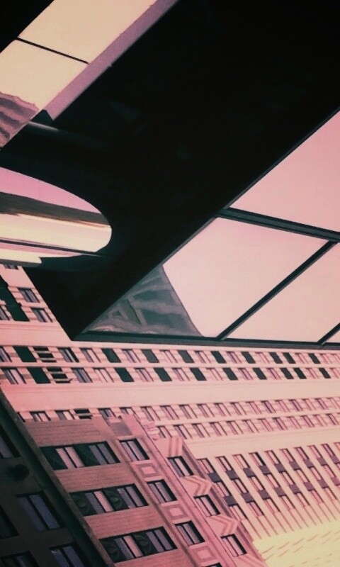 Взгляд вверх обои