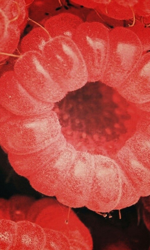 Малина обои