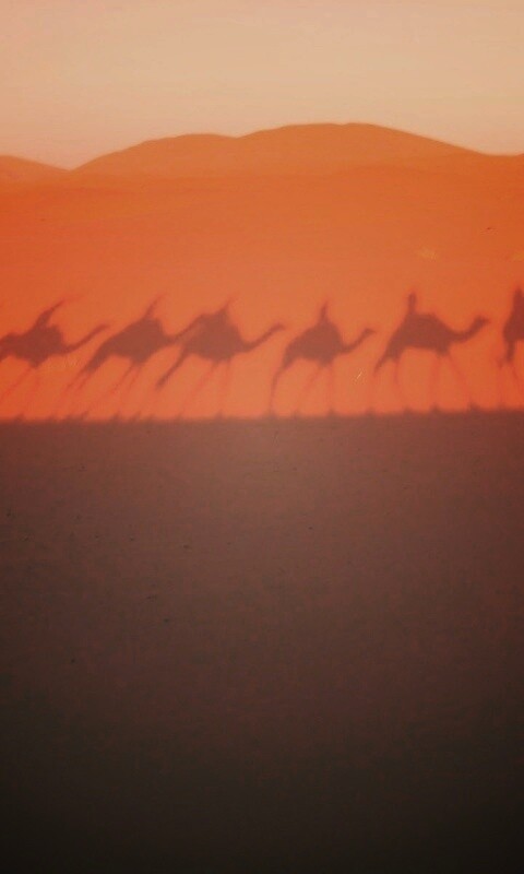 Караван обои