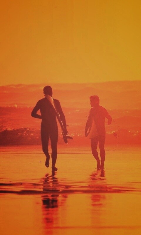 Серфингисты обои