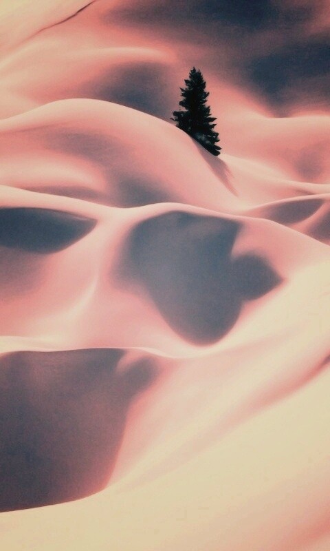 Снежная долина обои