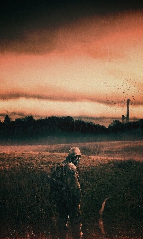 Сталкер под дождем обои