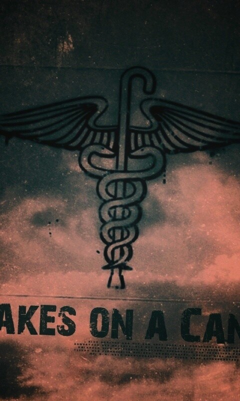 Змеи на трости обои