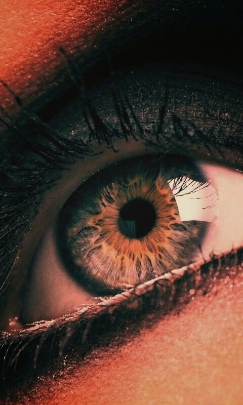 Оранжевый глаз обои