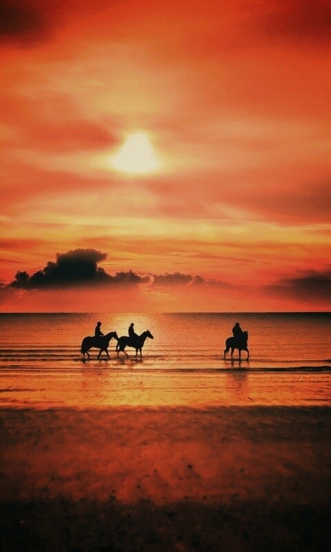 Наездники на закате обои