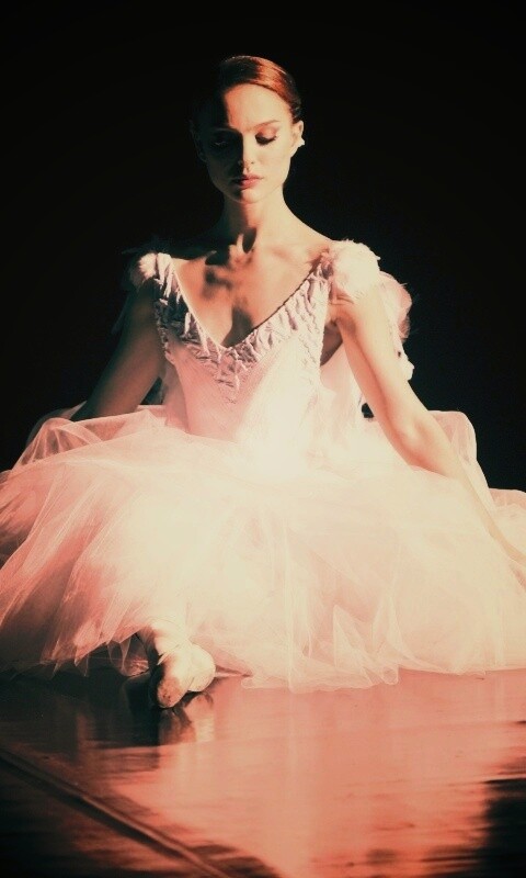 Черный лебедь обои