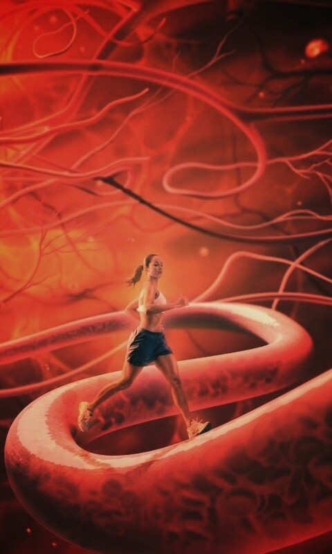 Бег крови обои