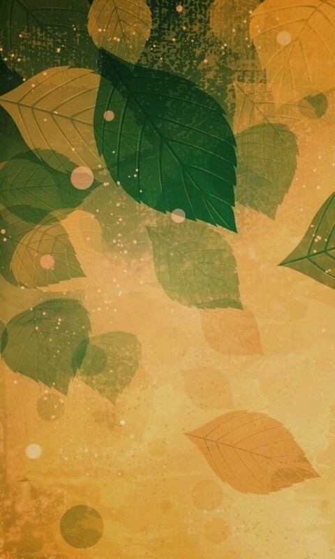 Прозрачные листья обои