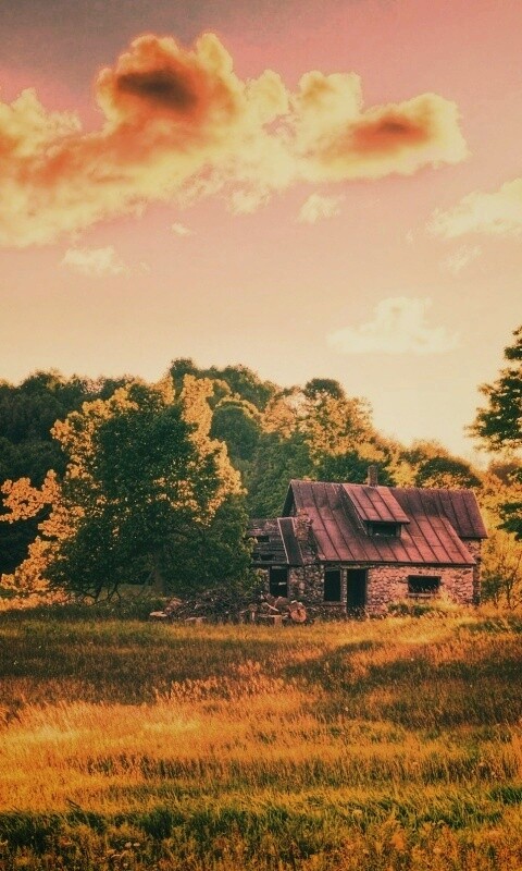 Домик в лесу обои