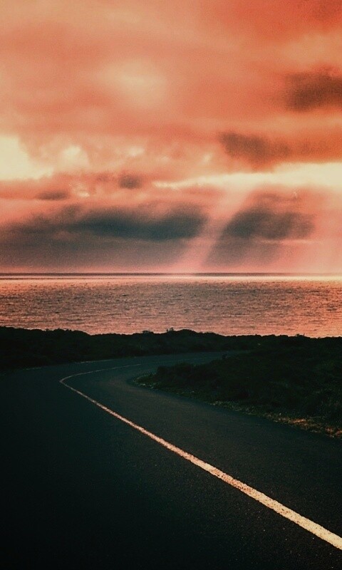 Дорога обои