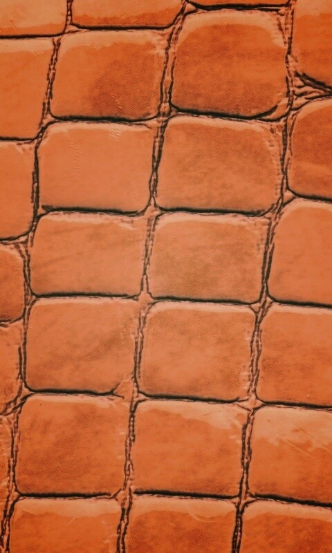 Змеиная кожа обои