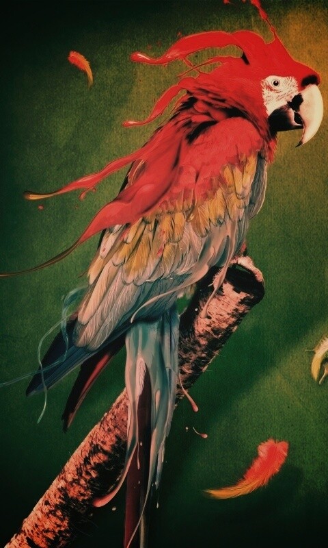 Попугай на ветке обои