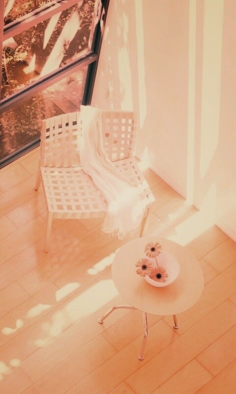 Стул, столик и цветы в комнате обои