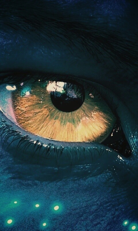 Смотрит прямо в душу обои