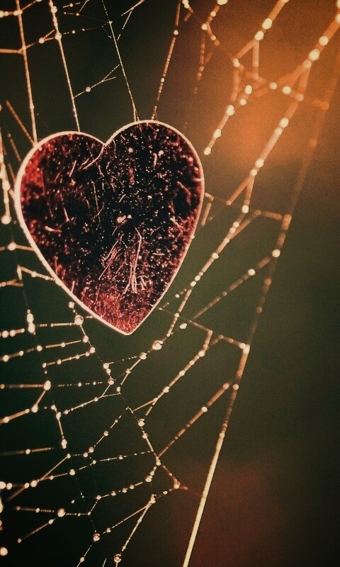 Запутавшаяся любовь.. обои