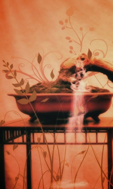 Карликовое дерево обои