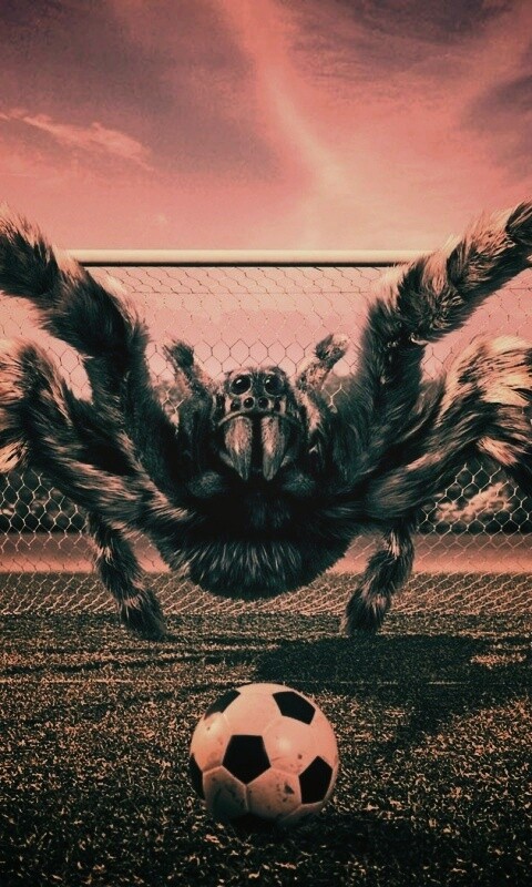 Вратарь обои