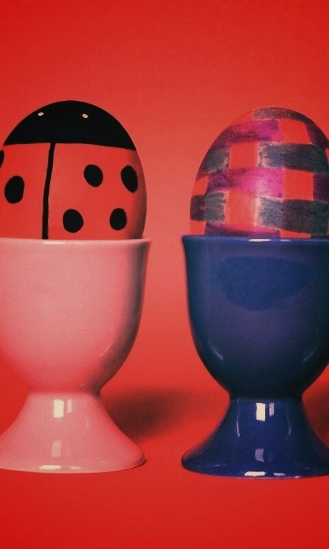 Кокушки обои