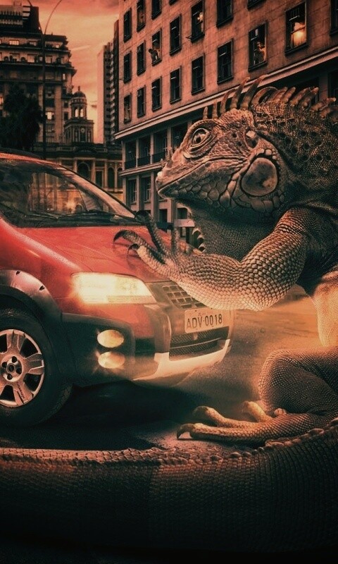 Ящерица в городе обои