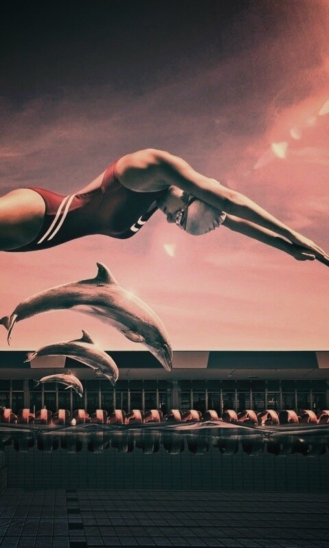 Соревнование обои