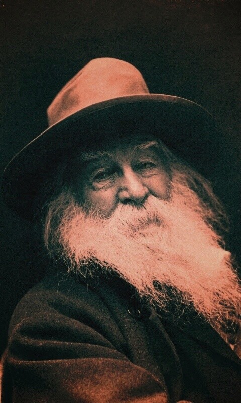 Уолт Уитмен обои