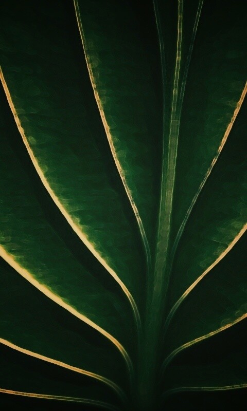 Неоновый лист обои