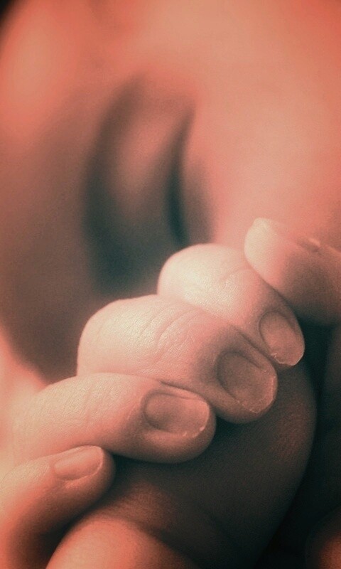 Младенец держит палец обои