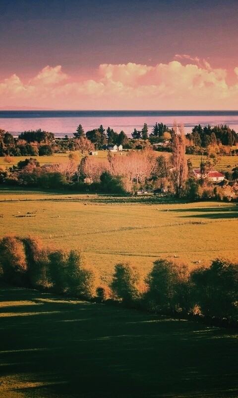 Сельская природа обои