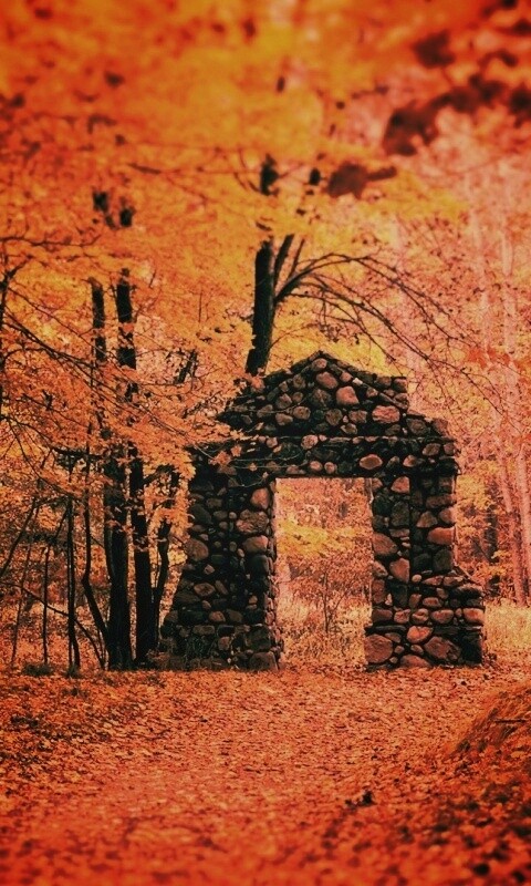 Каменная арка в осеннем лесу обои