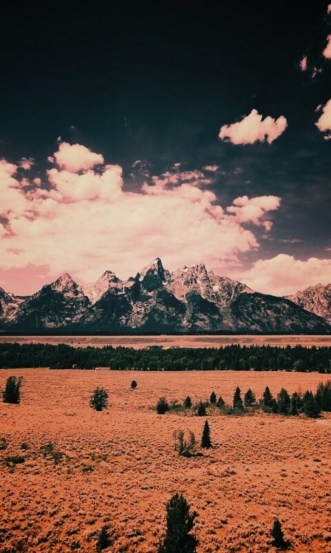 Степь и горы обои