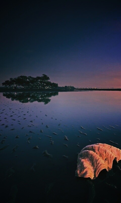 Закат на берегу моря обои