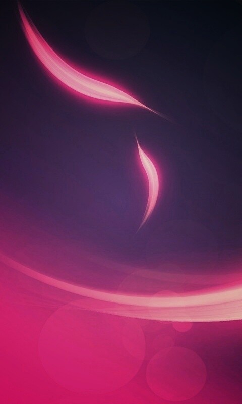 Лепестки света обои