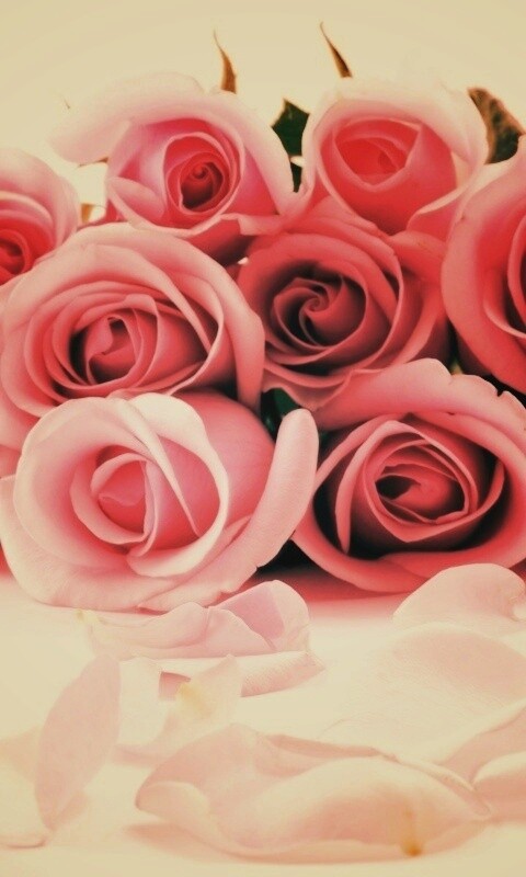 Букет роз обои