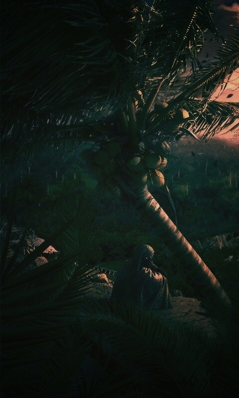 Вид на джунгли обои