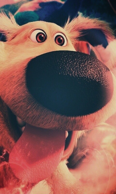 Собака из мультфильма Up обои