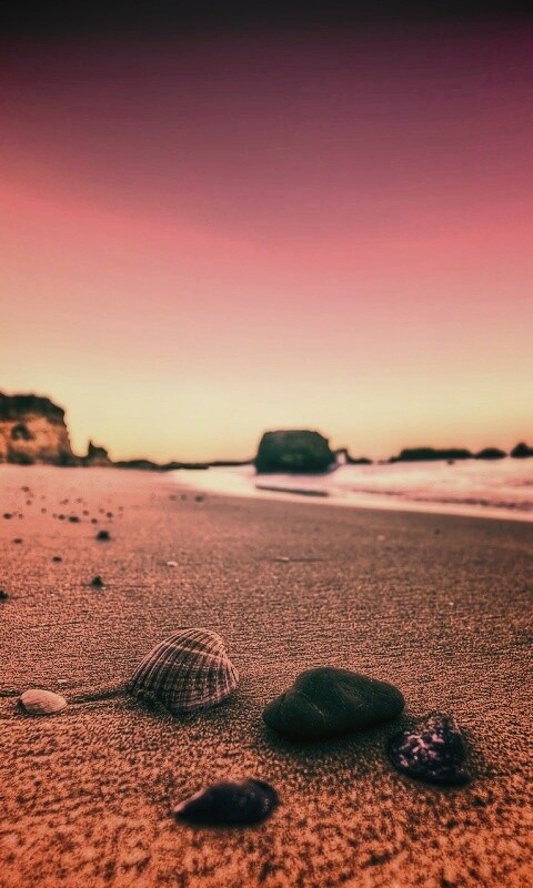 Океанский берег обои