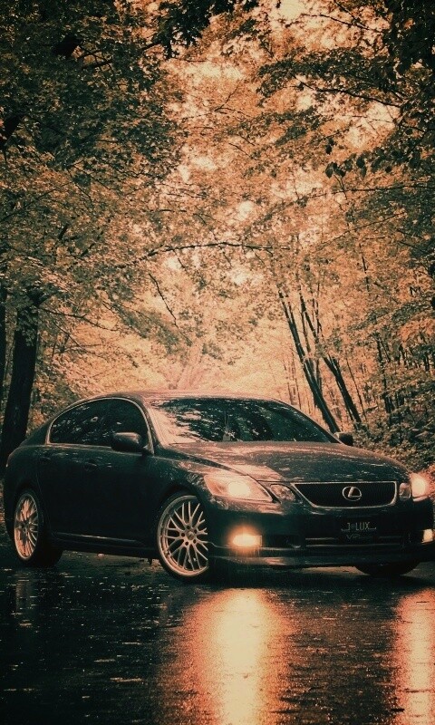 Лексус на лесной дороге обои