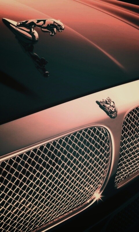 Капот и эмблема Ягуара обои