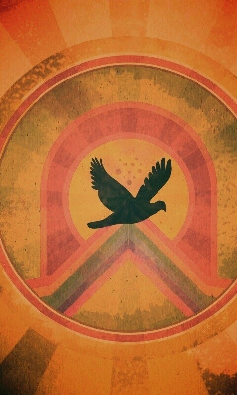 Голубь мира обои